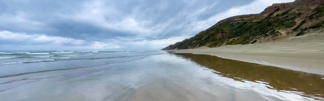 domeczech Baylys Beach  guide 